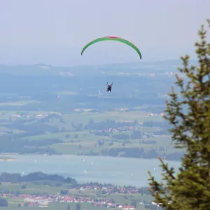 https://ferienwohnung-weber-alpengluck.com-bavaria.com